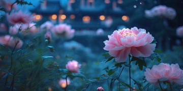 妃子笑君王醉出自哪首歌？