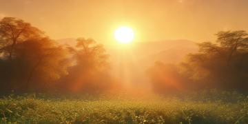 太阳公公金亮亮到底是哪首歌？