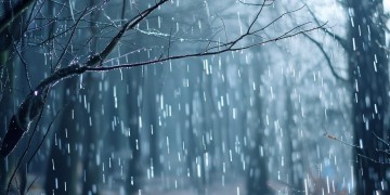 冬天的雨悄悄已来到究竟是哪首歌？