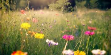 放弃之后还能唱什么歌？