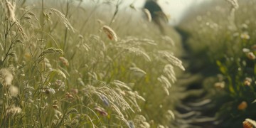 歌名里有扭曲的歌究竟有哪些？