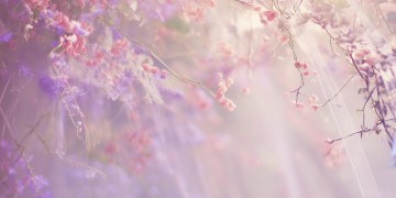 我们曾都是对方的什么歌？