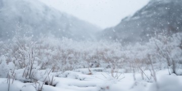 娜拉提的风雪究竟是哪首歌？