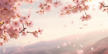 可惜不可惜是什么时候的歌呢？