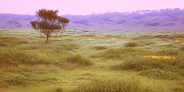 南半球空荡荡究竟是哪首歌？
