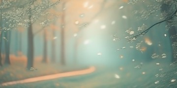平淡是你风雪是你出自哪首歌？