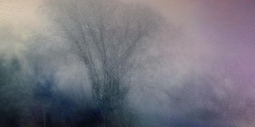 世界分不清白与黑究竟是哪首歌？