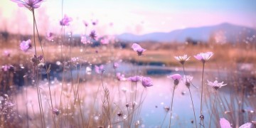 芭比芭比芭比bos到底是什么歌？