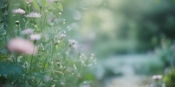 睫毛扎进你心尖出自哪首歌？