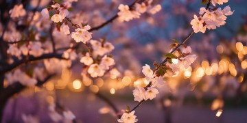 吹过的晚风是张学友的哪首歌？