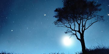 明晚我就不想你究竟是哪首歌？