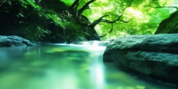 原来你是一股清流出自哪首歌？