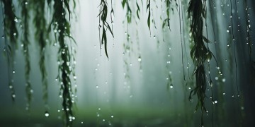 那是谁的泪究竟是哪首歌？