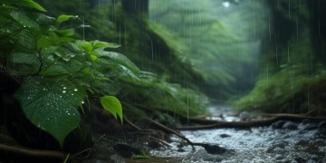 度过这风雨究竟是哪首歌？