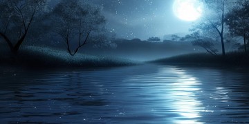 今夜芬芬到底是哪首歌？