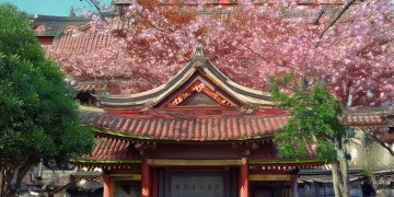 〈斛珠夫人〉插曲〈沧海〉究竟是怎样一首歌？