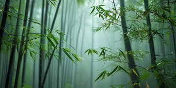 武林风打我的朋友究竟是哪首歌？