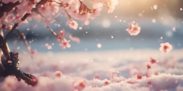 梦里还是为你笑究竟是什么歌？