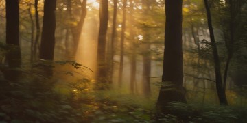 穿透了黄昏究竟是哪首歌？