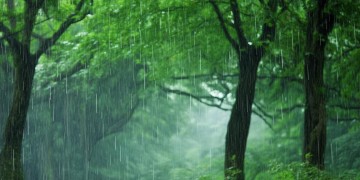 老天爷下雨究竟是哪首歌？