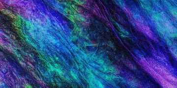 世歌究竟是什么意思？