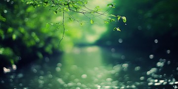 我迷蒙的眼里长存出自哪首歌？