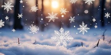 雪花有六个半究竟是哪首歌？