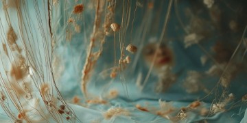 忘记几个人这句歌词出自什么歌？