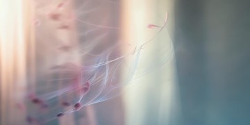 难道我不是你心上人出自哪首歌？