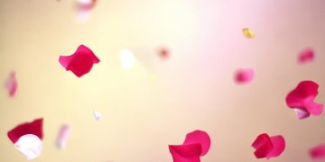 因为美好所以热爱究竟是哪首歌？