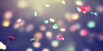 有些情随缘就好究竟是哪首歌？