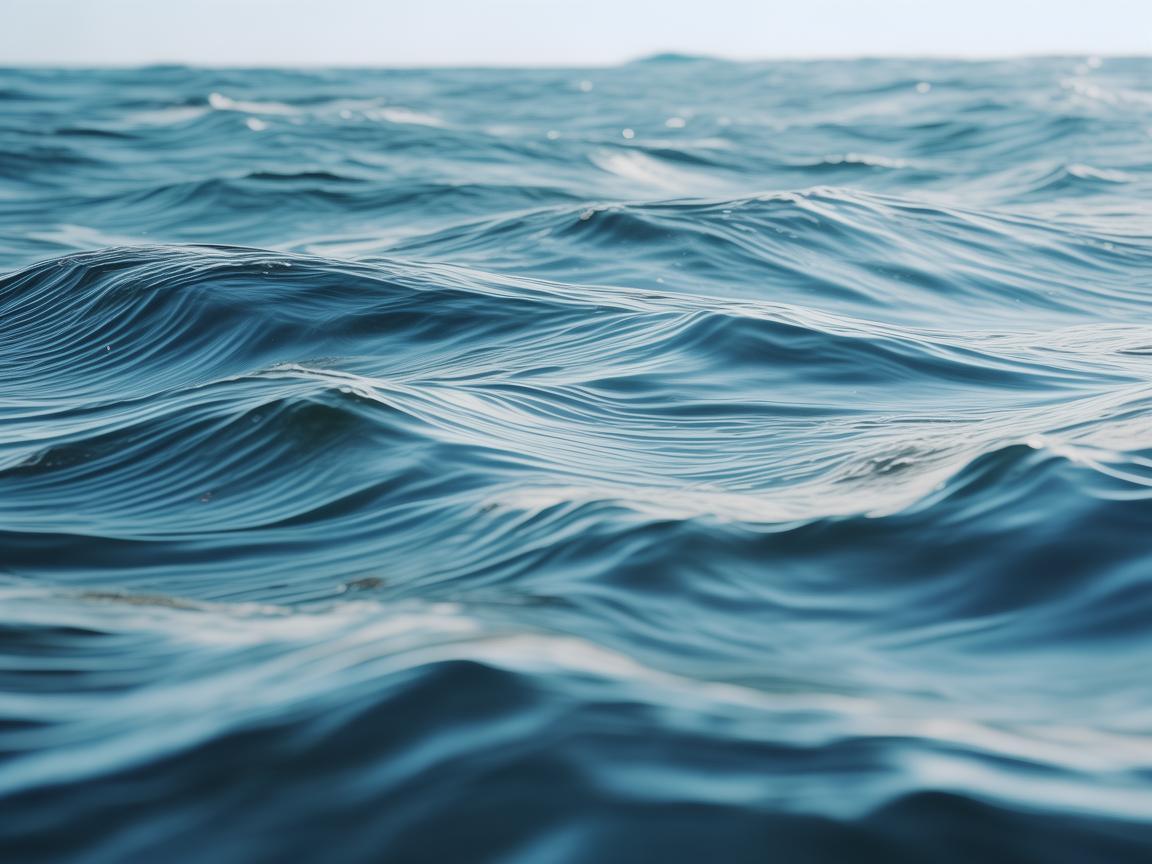 海浪浪浪这句歌词出自哪首歌？