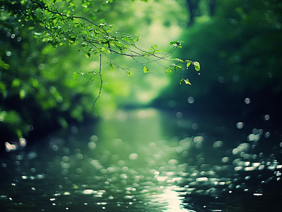 我迷蒙的眼里长存出自哪首歌? 我迷蒙的眼里长存出自哪首歌?